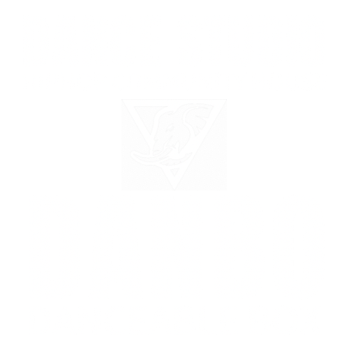 DANCE STUDIO DANBO